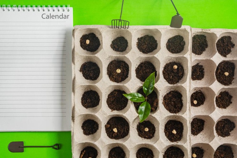 L'hydromulching à Meyzieu pour des sols stabilisés durablement